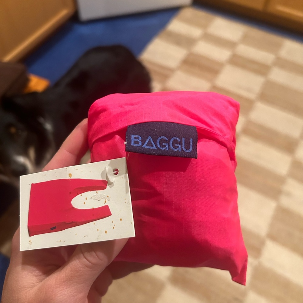 VINTAGE - BAGGU Packable Tote